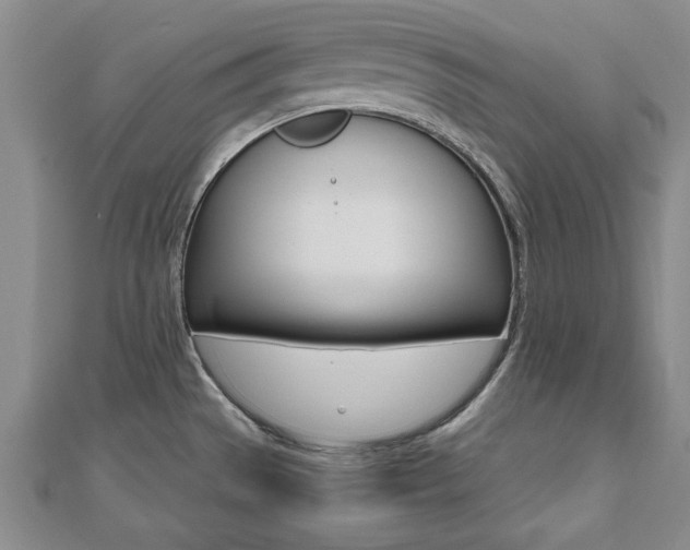 X0000112471529200908170940