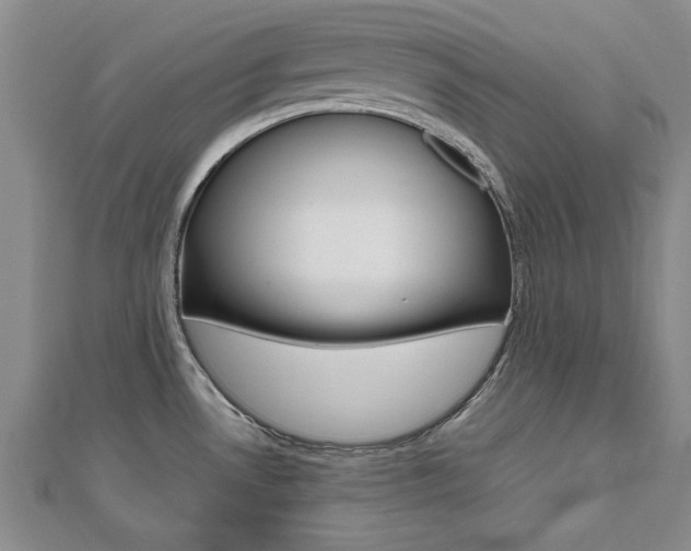 X0000112471530200908170940