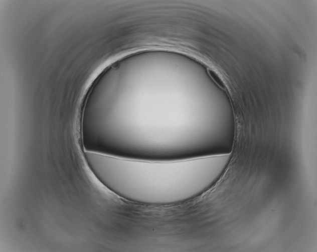 X0000112471531200908170940