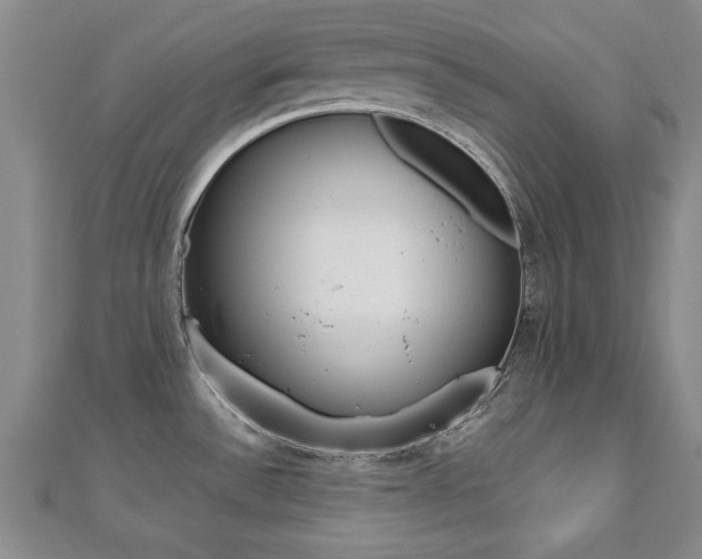 X0000112471532200908170940