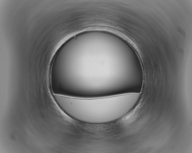 X0000112471533200908170940