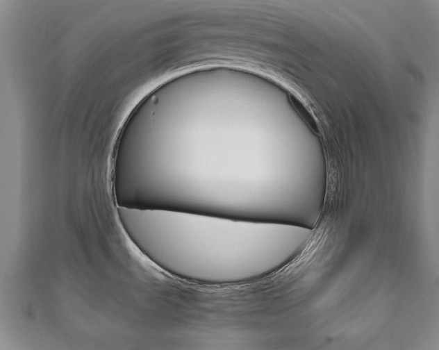 X0000112471535200908170940