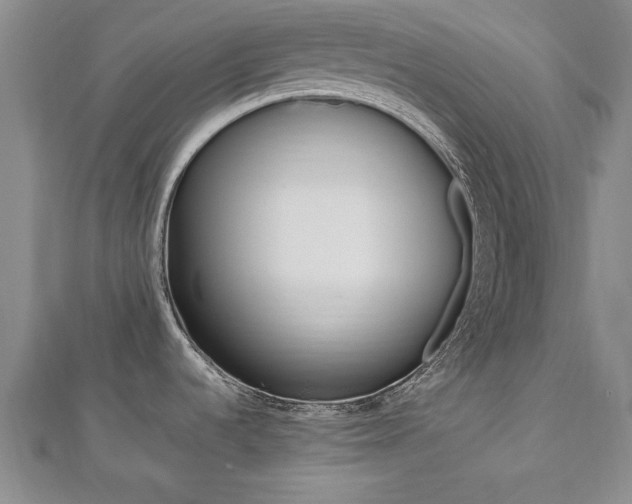 X0000112471536200908170940