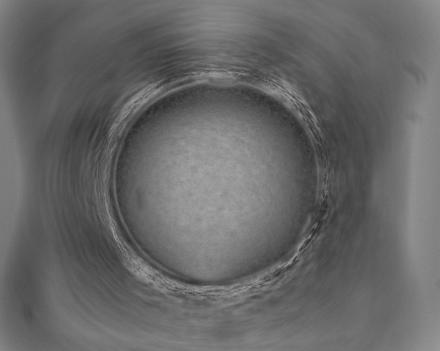 X0000112470001200908171208