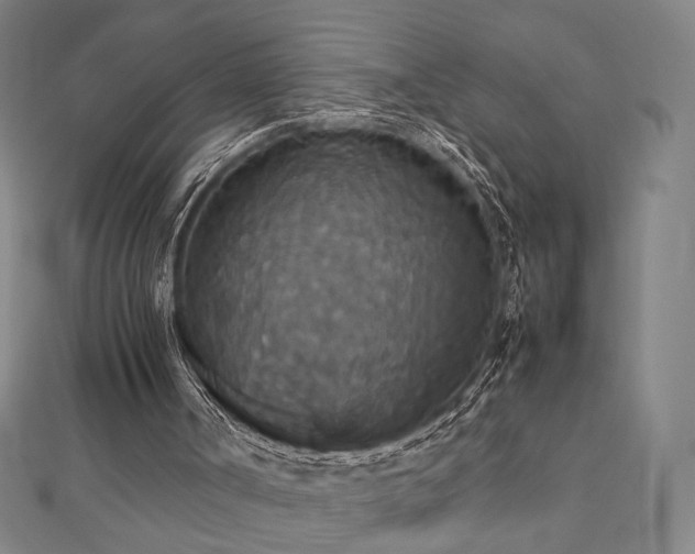 X0000112470002200908171208