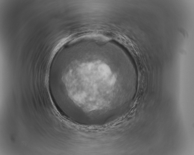 X0000112470003200908171208