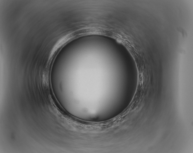 X0000112470004200908171208