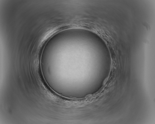 X0000112470005200908171208