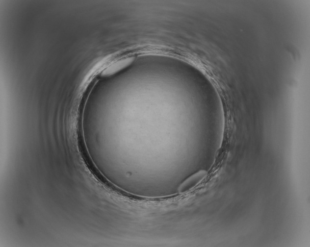 X0000112470007200908171208