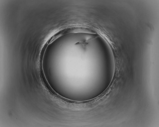 X0000112470008200908171208