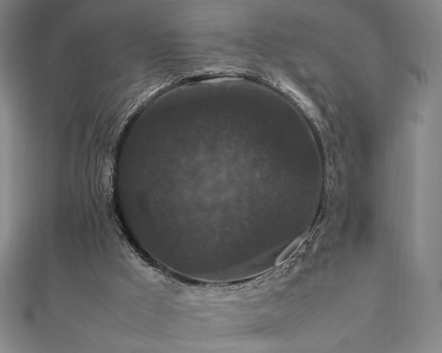 X0000112470009200908171208