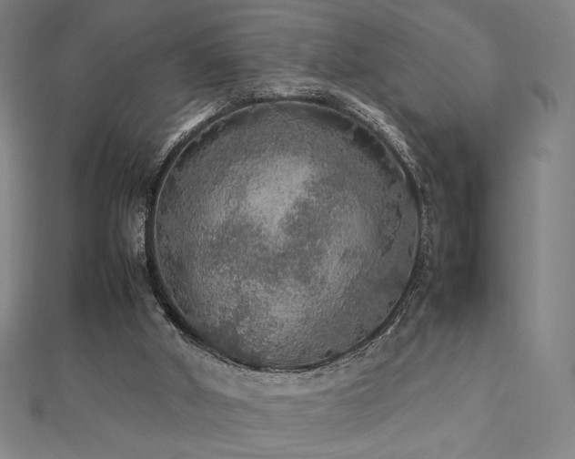 X0000112470010200908171208