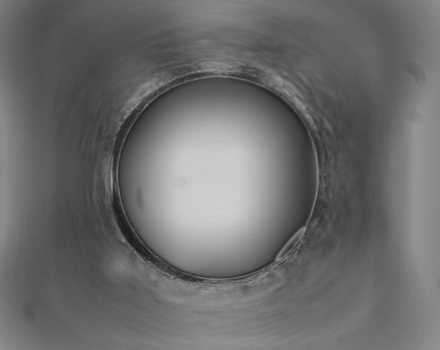 X0000112470011200908171208