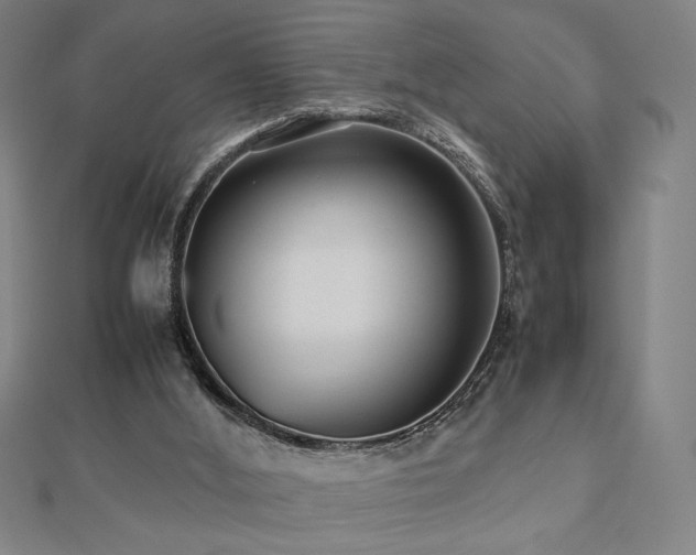 X0000112470012200908171208