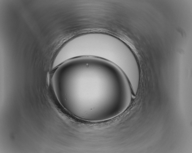 X0000112470013200908171208