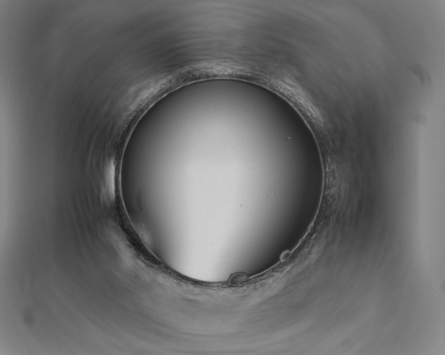 X0000112470014200908171208