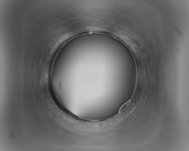 X0000112470015200908171208