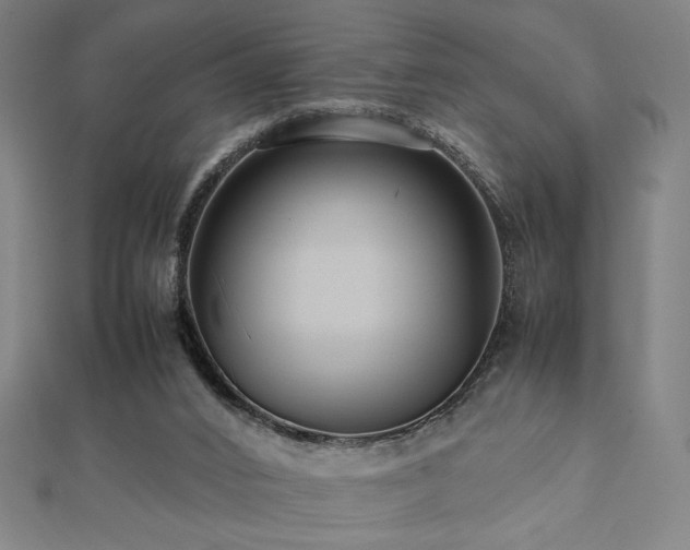 X0000112470016200908171208