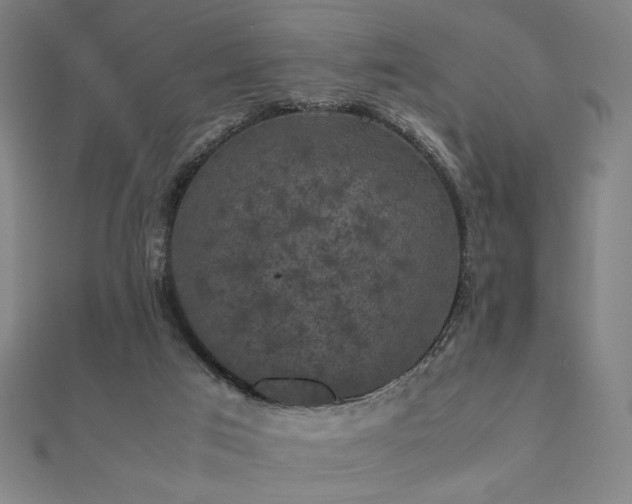 X0000112470017200908171208