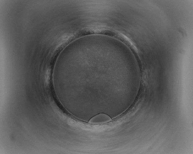 X0000112470018200908171208