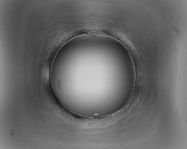 X0000112470021200908171208