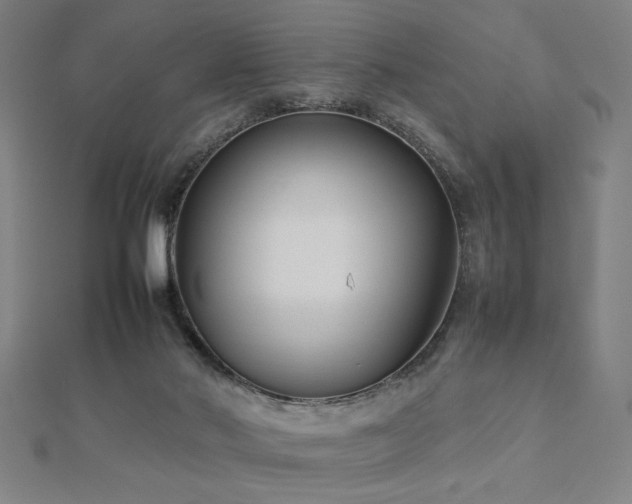 X0000112470022200908171208