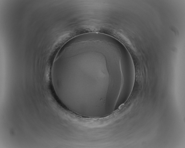 X0000112470023200908171208