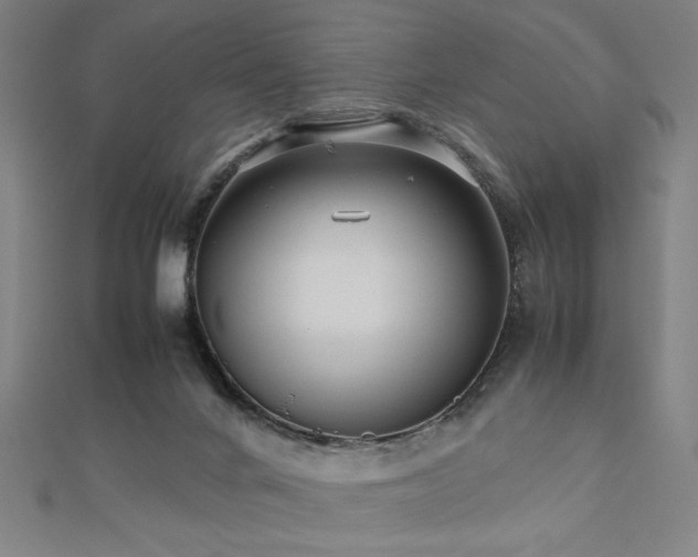 X0000112470024200908171208