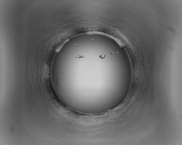 X0000112470025200908171208