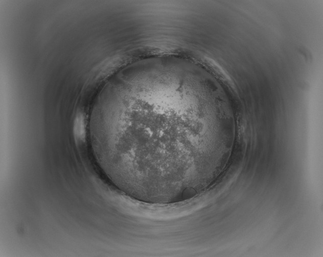 X0000112470026200908171208