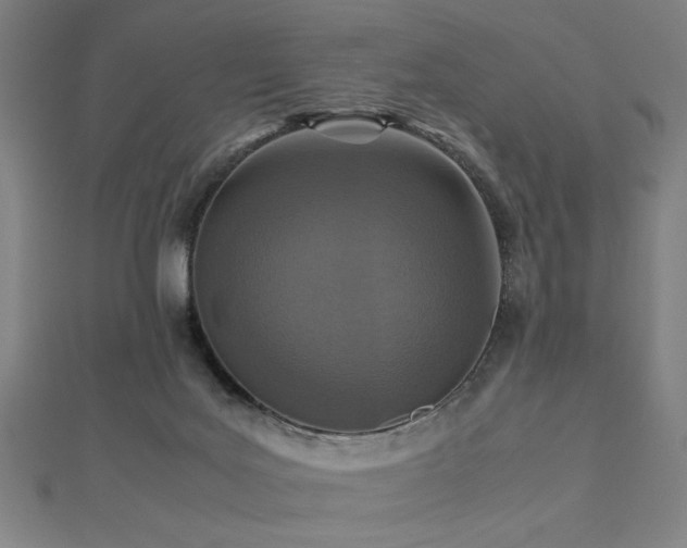 X0000112470027200908171208