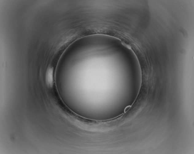 X0000112470028200908171208