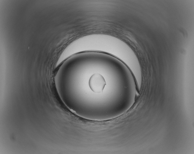 X0000112470029200908171208