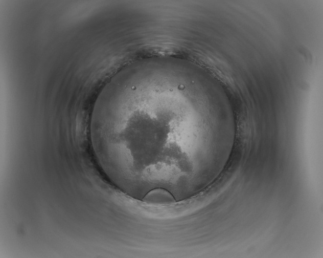 X0000112470030200908171208