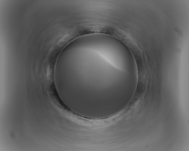 X0000112470031200908171208