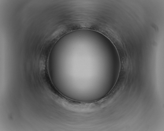 X0000112470032200908171208