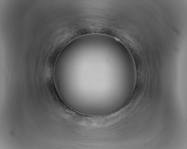 X0000112470033200908171208