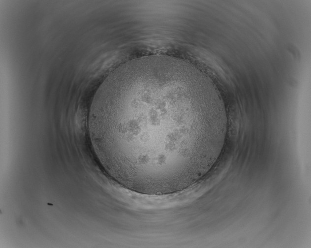 X0000112470034200908171208