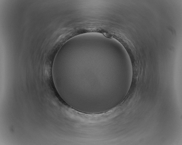 X0000112470035200908171208