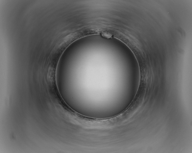 X0000112470036200908171208