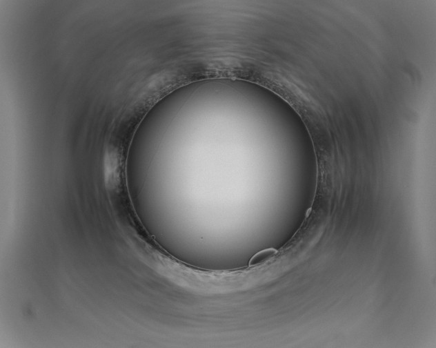 X0000112470038200908171208