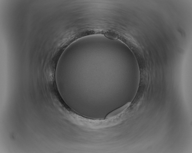 X0000112470039200908171208