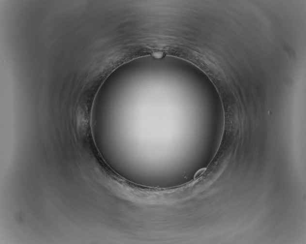 X0000112470040200908171208