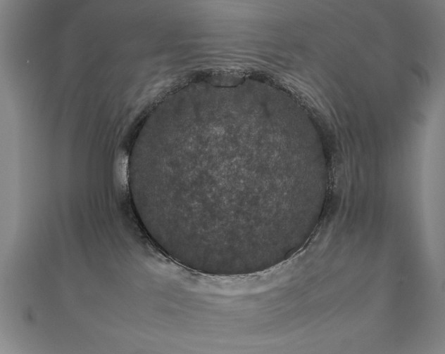 X0000112470041200908171208