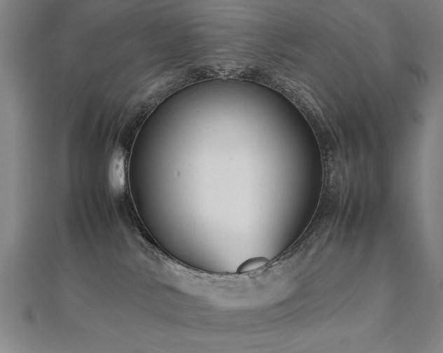 X0000112470042200908171208