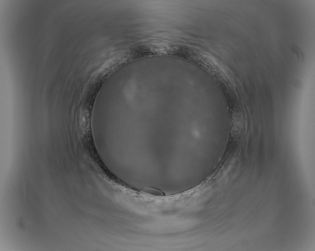 X0000112470043200908171208