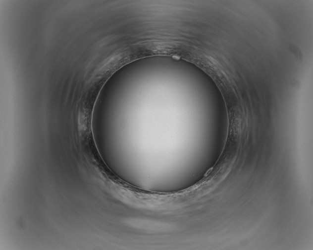 X0000112470044200908171208