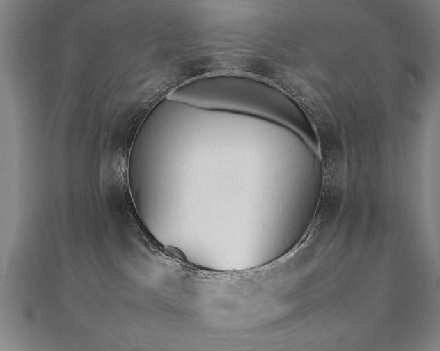 X0000112470045200908171208