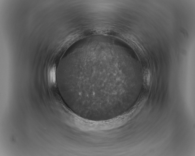 X0000112470046200908171208