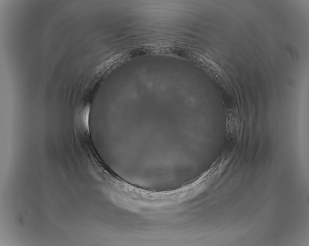 X0000112470047200908171208